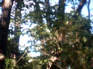 Niema Czego Trzeba melody