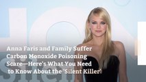Anna Faris and Family Suffer Carbon Monoxide Poisoning Scare—Here's What You Need to Know About the 'Silent Killer'