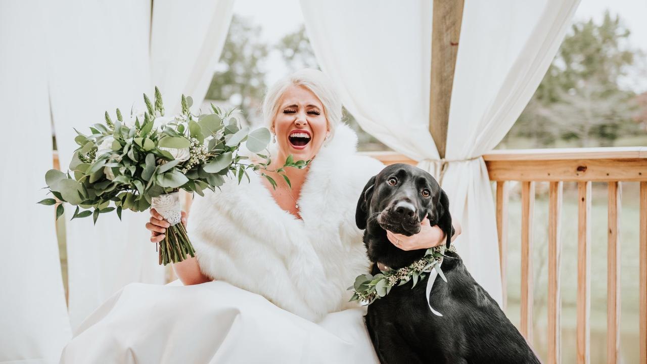 Alabama Bride’s “First Look” Photos with Her Beloved Labrador Are Just the Sweetest Thing