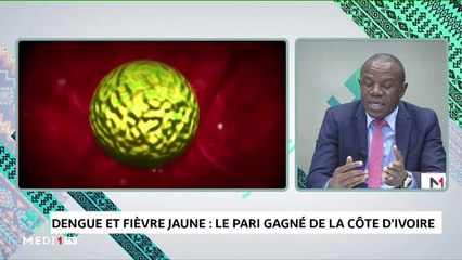 Dengue et fièvre jaune : le pari gagné de la Côte d'Ivoire - 05/12/2019