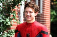 Tom Holland revealed that pub phone call saved Spider-Man