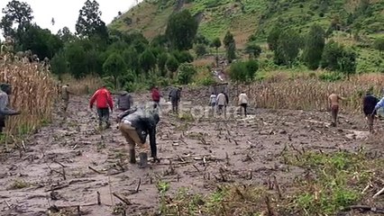 La central nuclear más vieja de Europa festeja sus 50 años