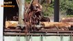 Latest Technology Fastest Wood Sawmill Machine work - Extreme Chainsaw Cutting Tree Machine