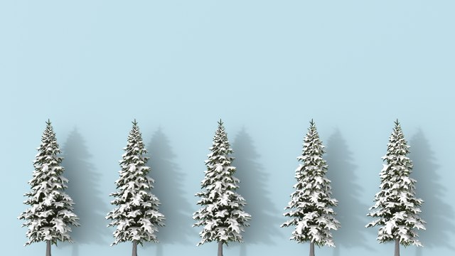 Trader Joe's Is Selling Everything You Need to Make Your House Look Like a Winter Wonderland