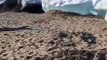 Des vagues de glaces sur le lac Baïkal. Phénomène impressionnant