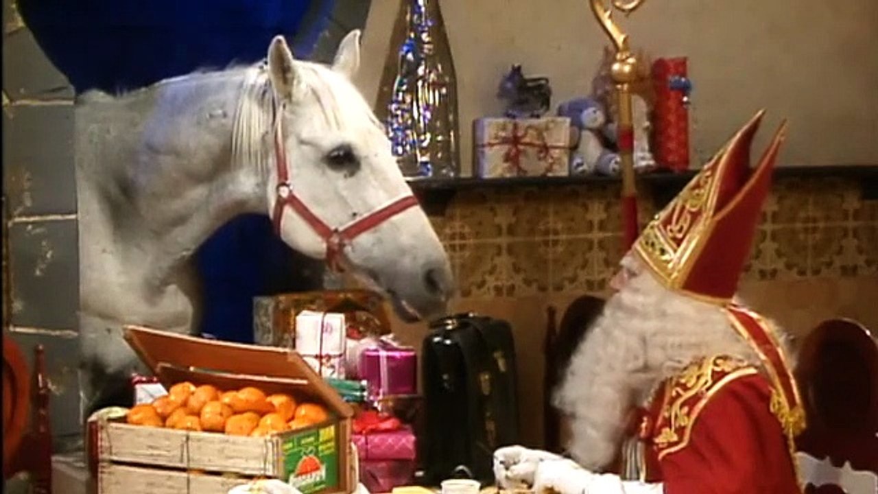 Dag Sinterklaas Aflevering 10 Sinterklaas is jarig