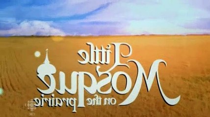 Little Mosque On The Prairie Season 5 Episode 10 An Arranged Marriage