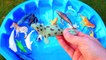 Learn Colors with Wild Animal Toys Sharks in Blue Water Tub Toys For Kids