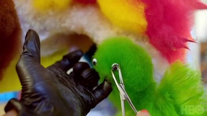 Well Groomed Documentary movie