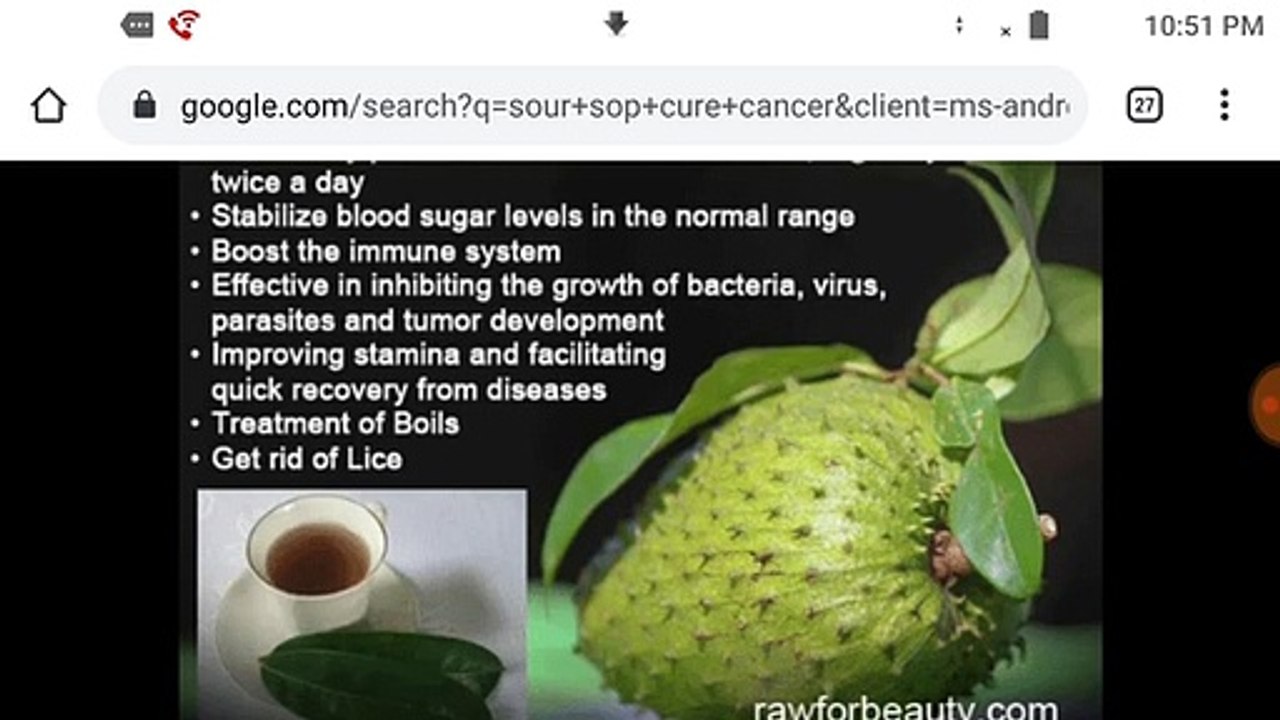 THE LORD CREATED MEDICINES OUT OF THE EARTH