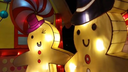 The Holidays Shine Bright With Lights Of The World!