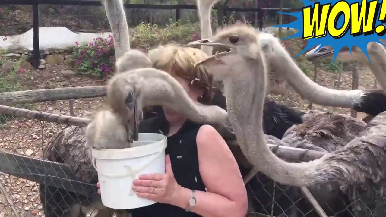 Funny People Fails 13