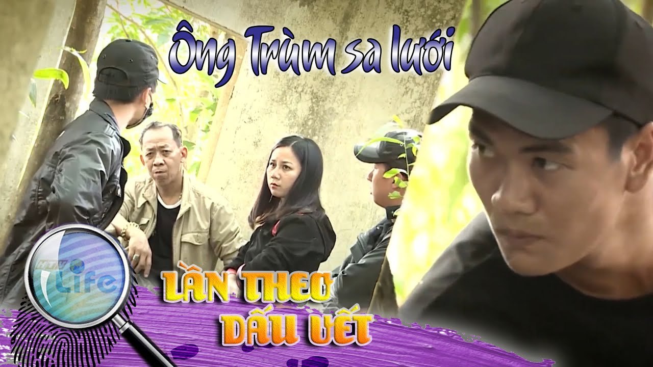 VỤ ÁN SĂN BẨY ÔNG TRÙM SA LƯỚI CHUYÊN ÁN 314 | LẦN THEO DẤU VẾT | ANTV | HTV Life