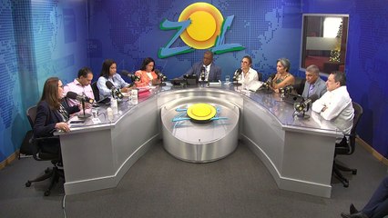 Iris Guaba: "El PLD esta viviendo una nueva primavera"