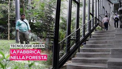 Tecnologie green: la fabbrica nella foresta