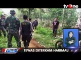 Petani Tewas Diterkam Harimau, Jasad Ditemukan Tak Utuh