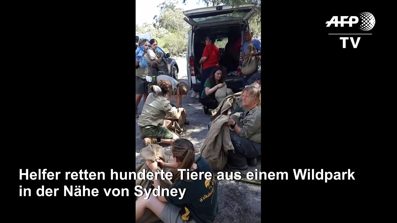 Hunderte Tiere vor Buschfeuern aus Wildpark gerettet