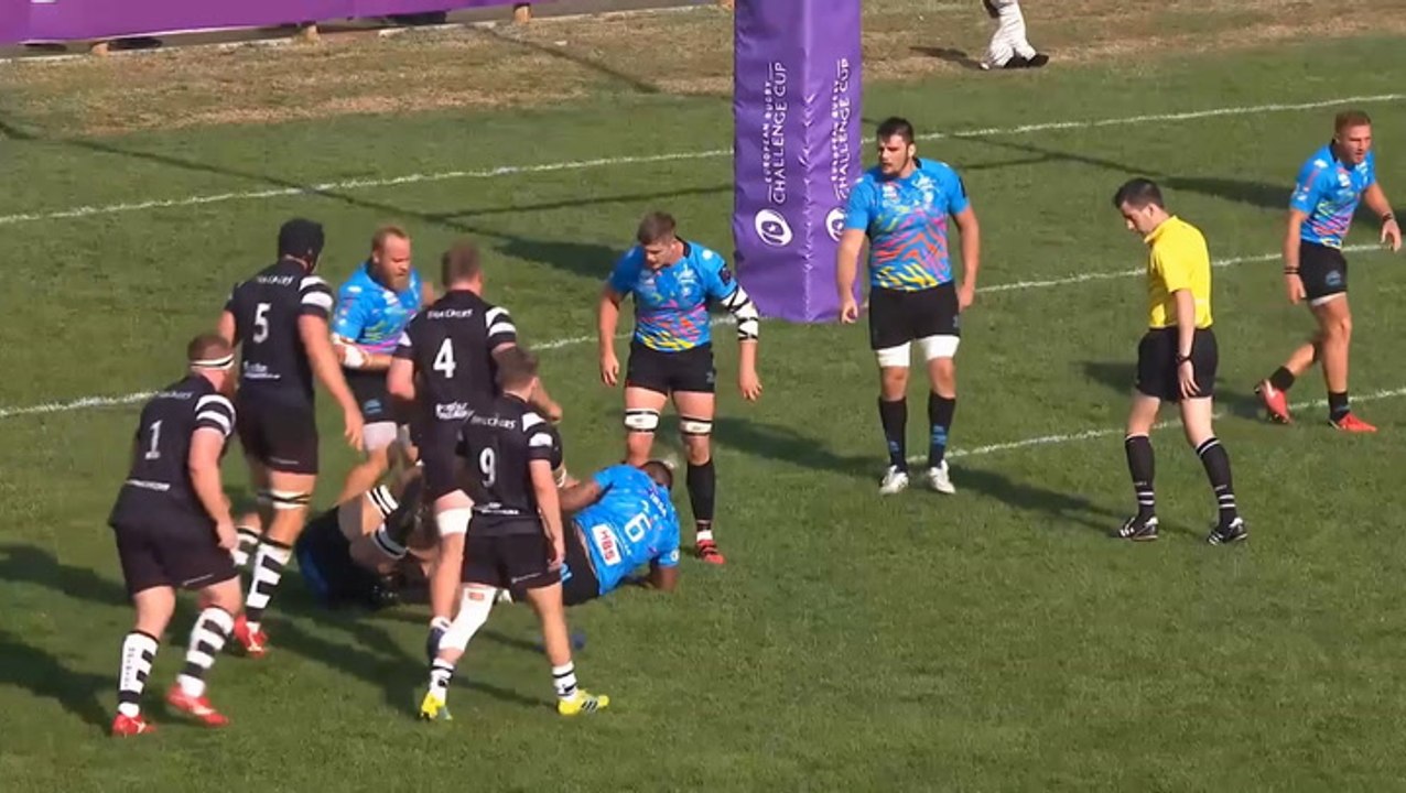 Zebre v Bristol Bears Highlights