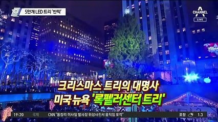 5만개 LED 트리 ‘반짝’