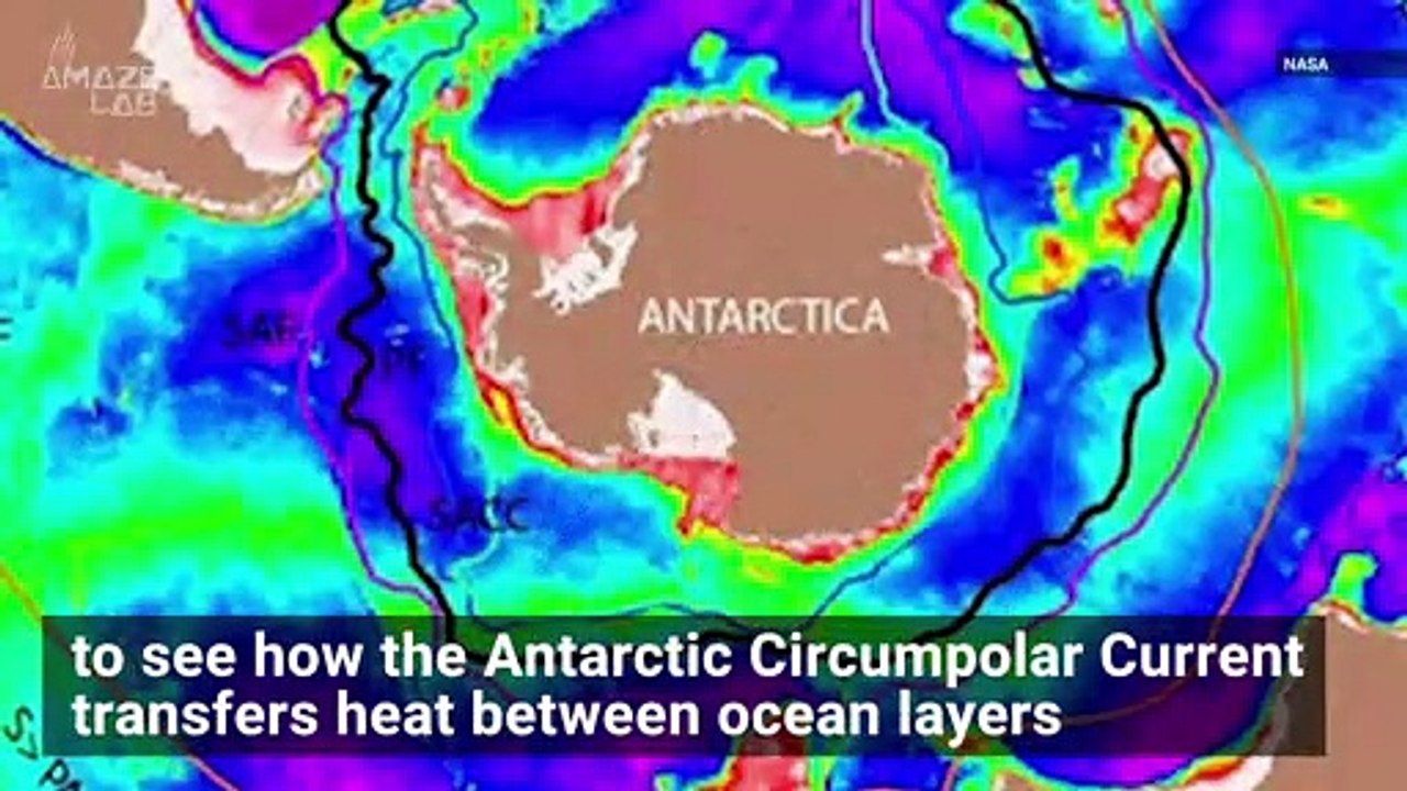 Sensor-Wearing Seal Gathers Surprising Deep-Sea Data for NASA