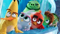 Les Angry Birds en 10 leçons - Top cinéma