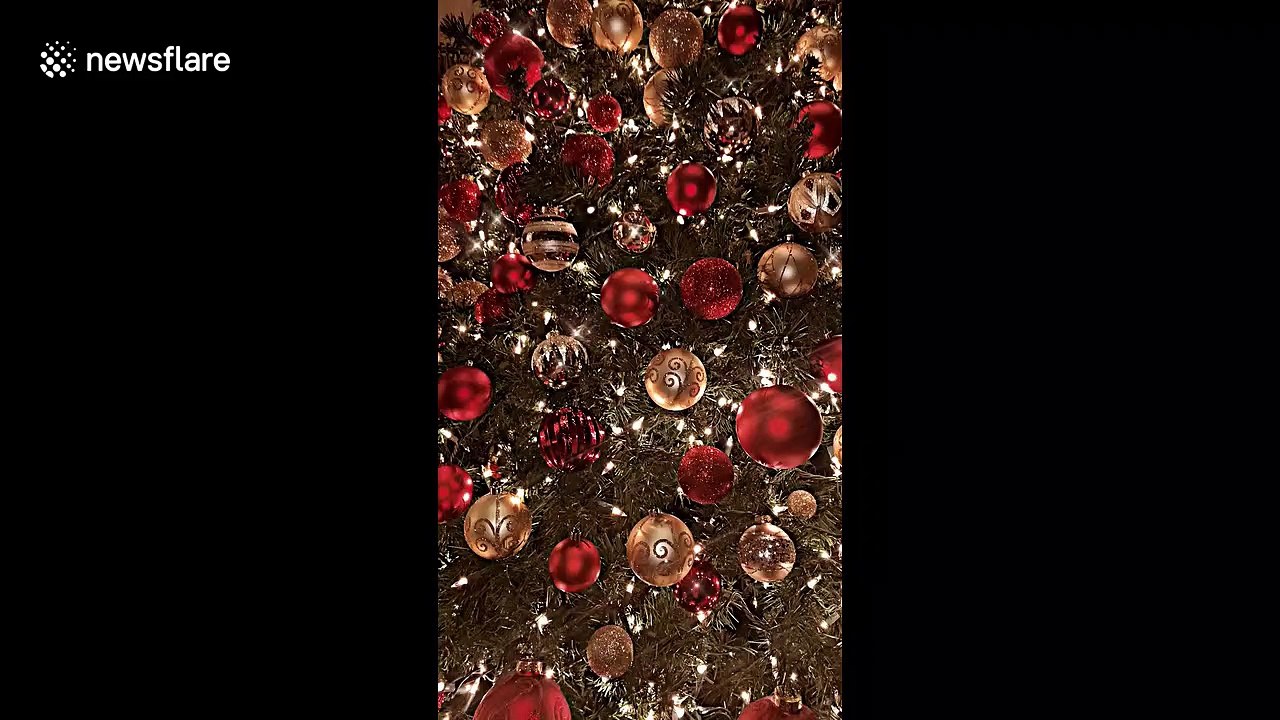 This dazzling Christmas tree will definitely get you in the festive mood