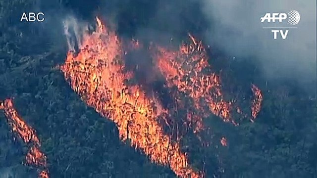 حريق هائل خارج عن السيطرة يلتهم مناطق شاسعة قرب سيدني