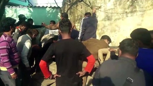 Trapped baby antelope rescued from open drain following marathon operation in north India