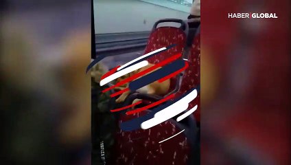 İBB'den övgü toplayan hayvan hassasiyeti