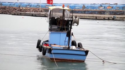 Hamsi Batı Karadenizi terk ediyor - DÜZCE