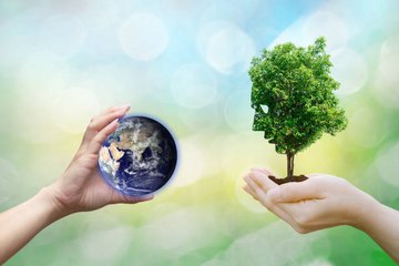 Journée mondiale du climat (8 décembre) :  1200 milliards d'arbres pour sauver la planète