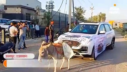 युवक ने गधे से खिंचवाई अपनी नई कार