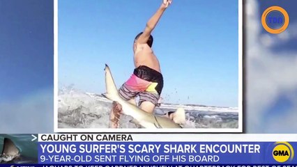 Un requin attaque un enfant qui fait du surf