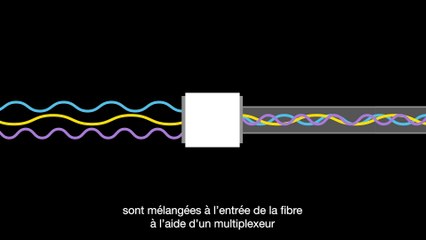 Wavelength Division Multiplexing STFR