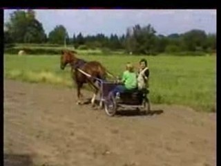 Véronique Sanson sur un sulky !