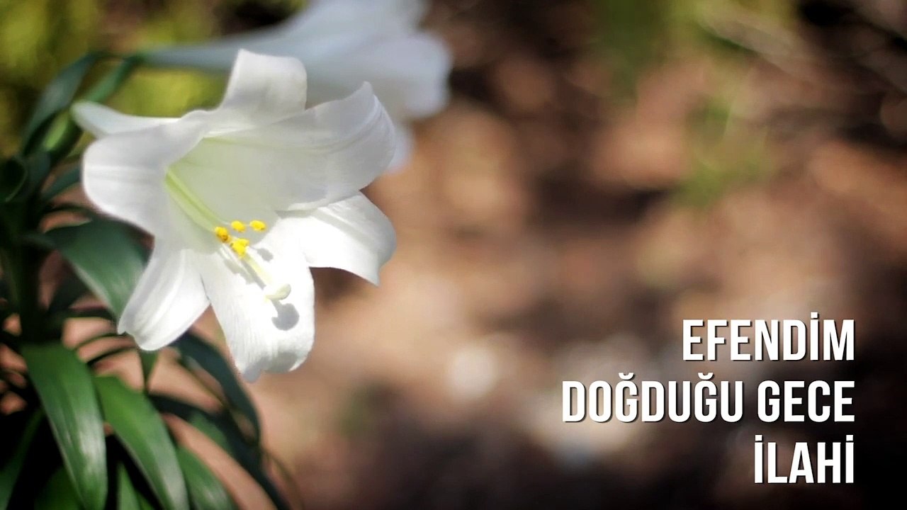 Müziksiz İlahiler - Efendim Doğduğu Gece