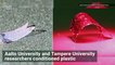 Scientists Teach Plastic to ‘Walk’ and Grab Objects With Light