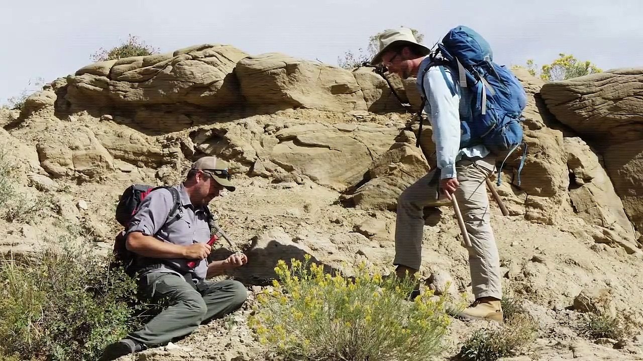 Los Primeros Minutos Después de la Desaparición de los Dinosaurios