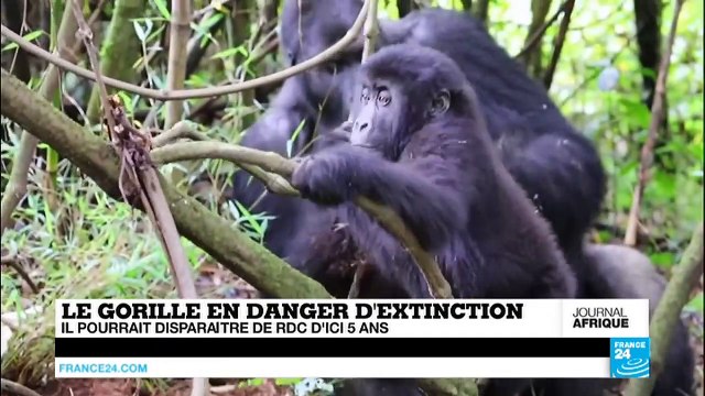 Paul Kagame menace de rompre les relations diplomatiques avec Paris