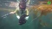 Un plongeur capture une énorme limace de mer
