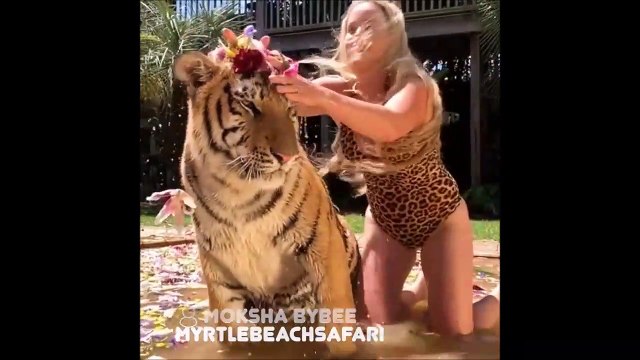 Tigres, singes... elle s'amuse avec toutes sortes d'animaux sauvages