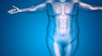 Stephen Hawking: comemos demasiado y nos movemos muy poco