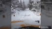 California crews spent their Thanksgiving plowing serene, snow-covered roads