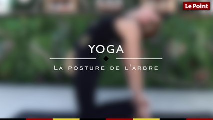 Les essentiels du yoga #15 -  la posture de l'arbre