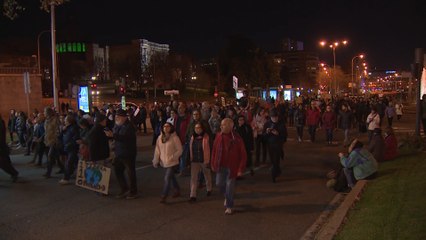 Download Video: Miles de personas destierran a los coches en la Marcha por el Clima