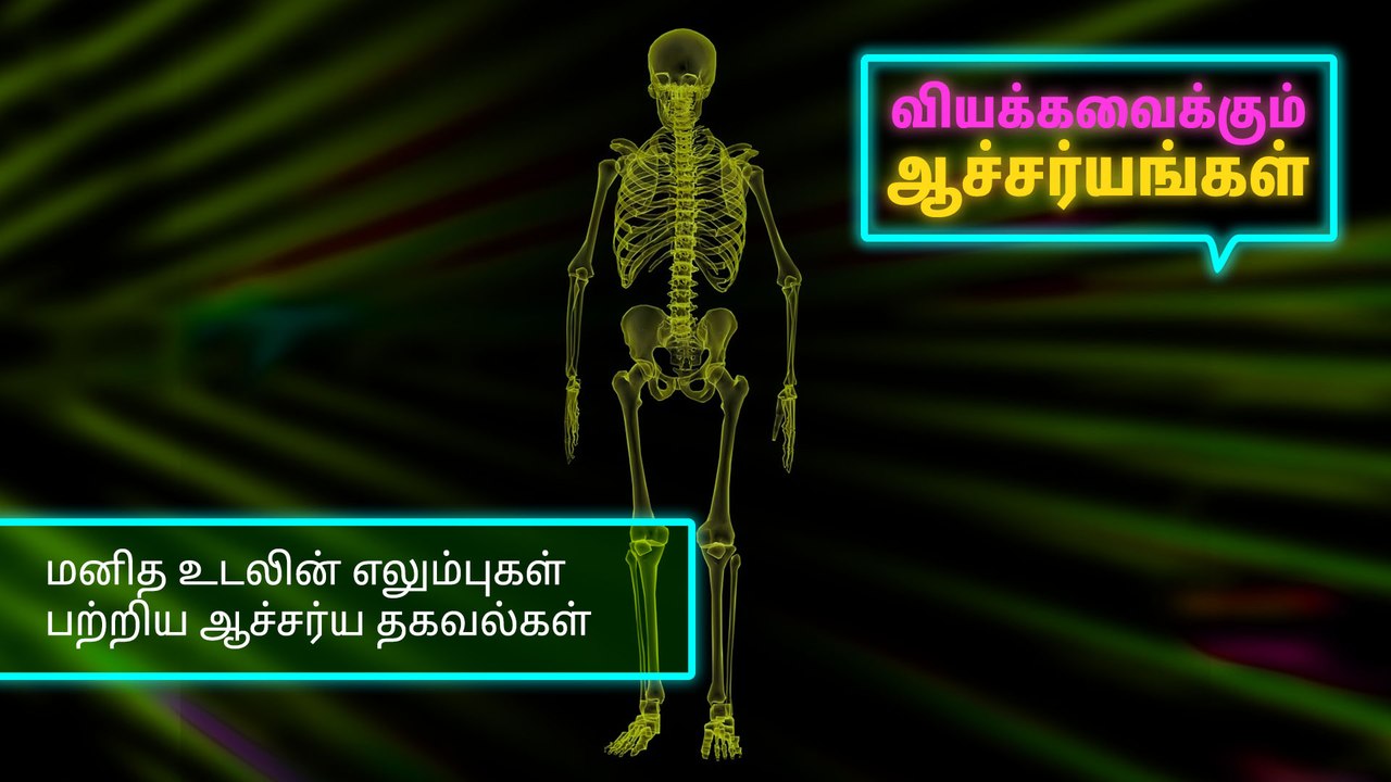 மனித உடலின் எலும்புகள் பற்றிய ஆச்சர்ய தகவல்கள்..!