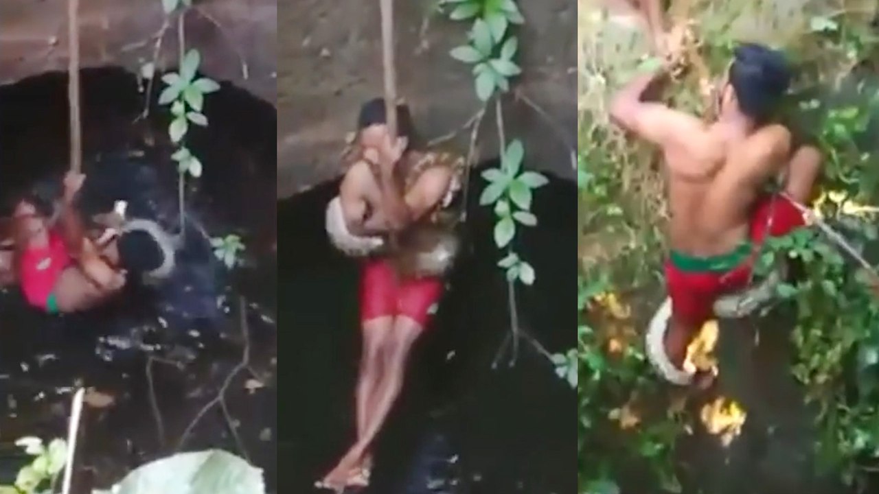 Forest officer rescues a big python from a well - Viral video