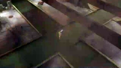 【アクション】 お姉チャンバラ オリジン 第10話 血の宿命