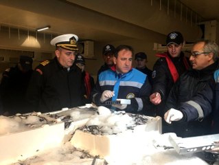 Balık denetiminde 13 ton balığa el konuldu