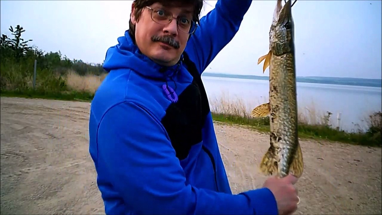 mch 253 TOP FIVE FISHING CATCHES GULL LAKE ALBERTA CANADA.